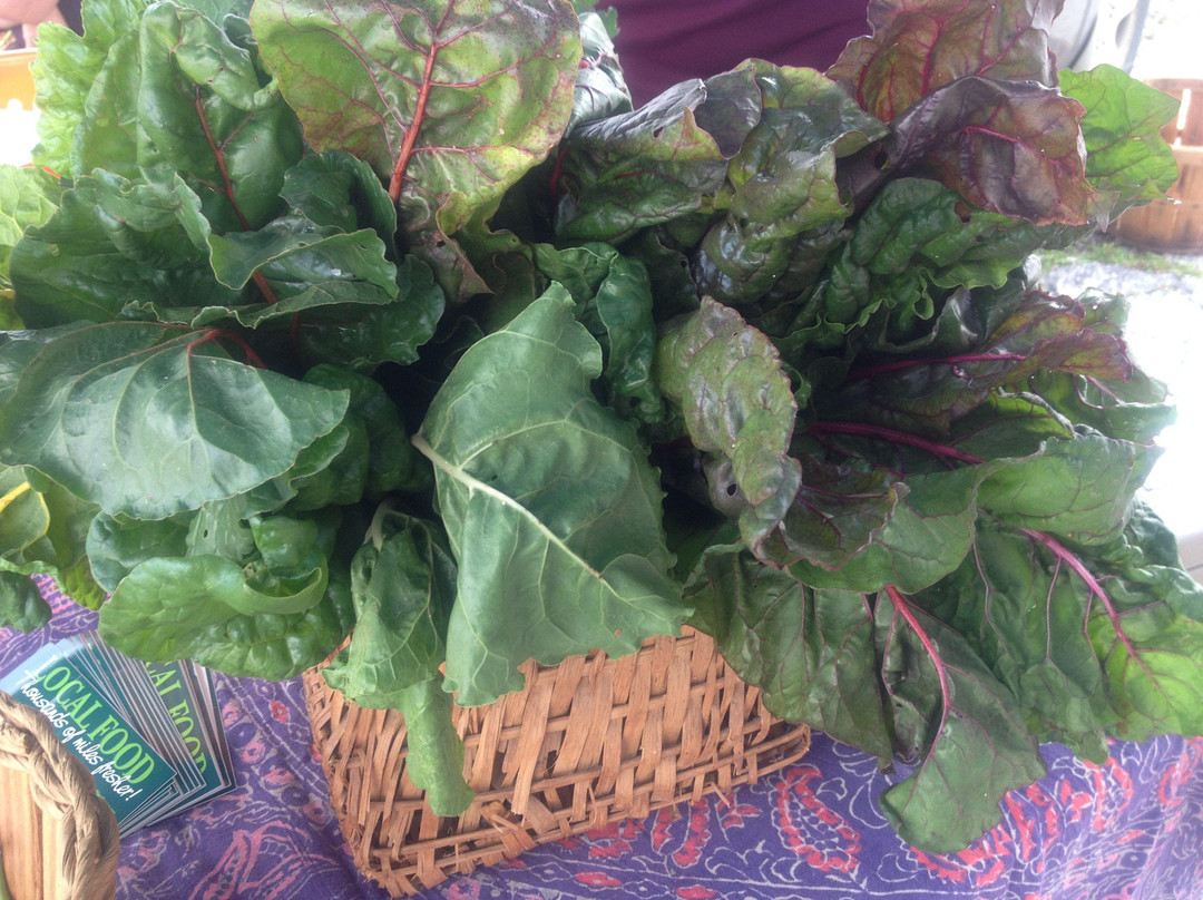 Yancey County Farmers Market景点图片