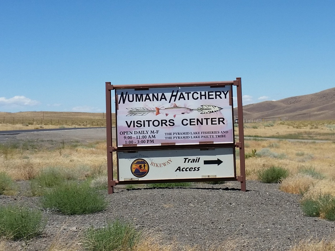 Nixon旅游景点-Numana Paiute Tribal Fish Hatchery