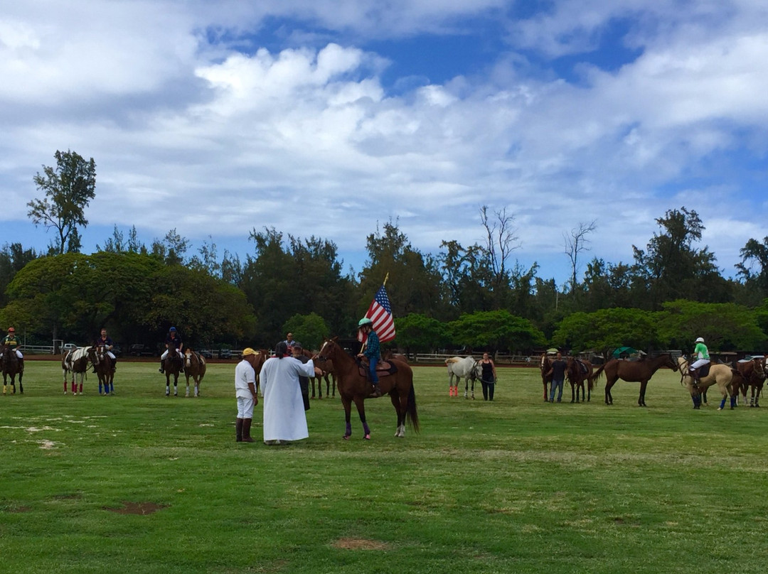 Honolulu Polo Club景点图片