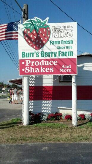 Burr's Berry Farm景点图片
