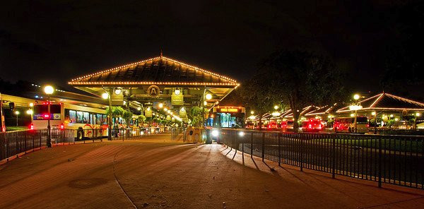 Walt Disney World Bus Service景点图片