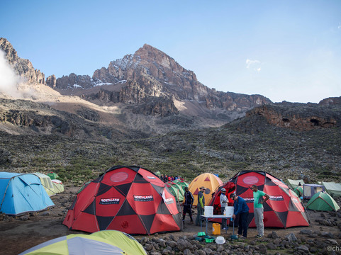 WildMedix-开普敦中心区必去景点