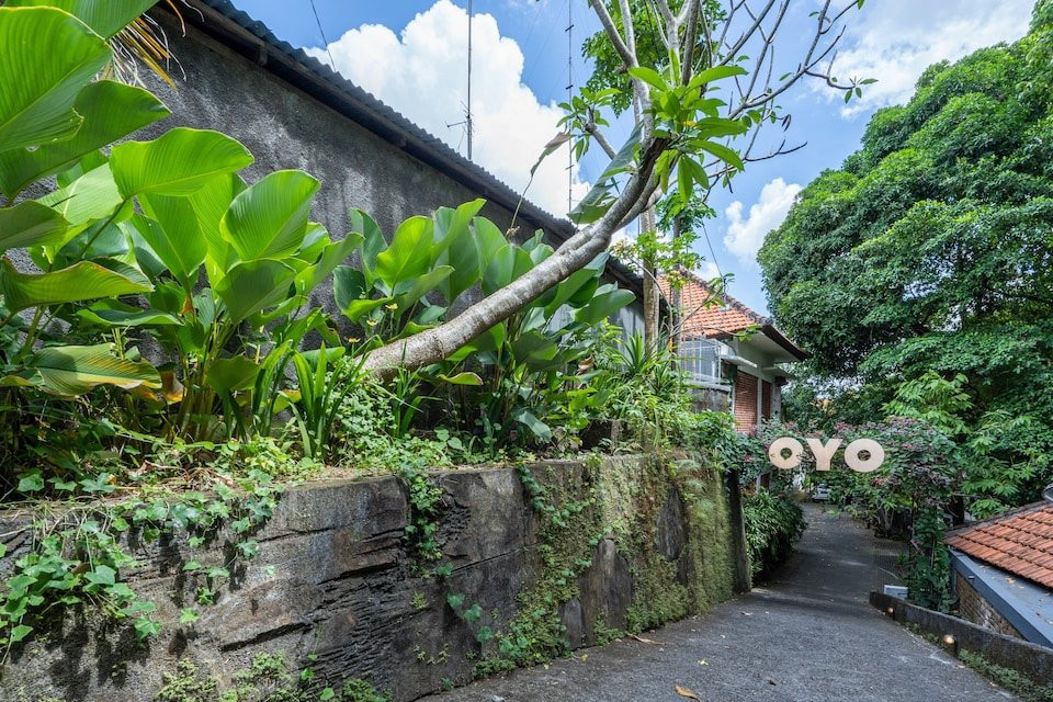 OYO 785 Van Mandri Guest House主图