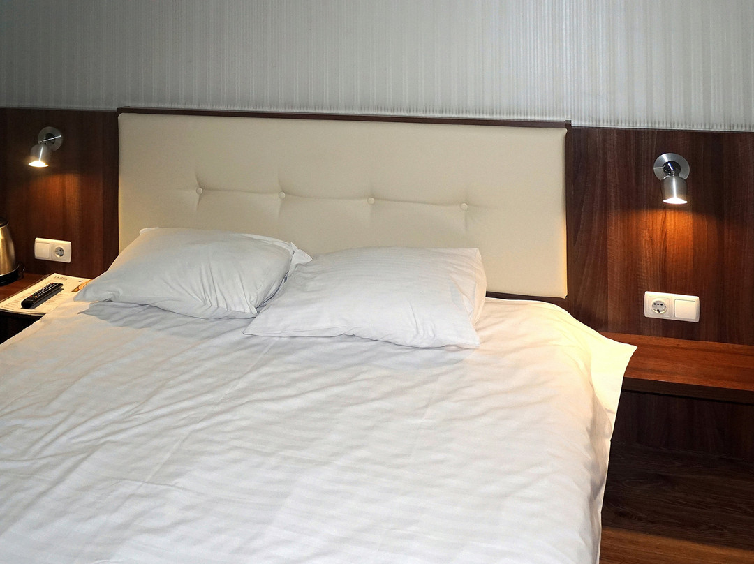 Tri Korony Hotel主图