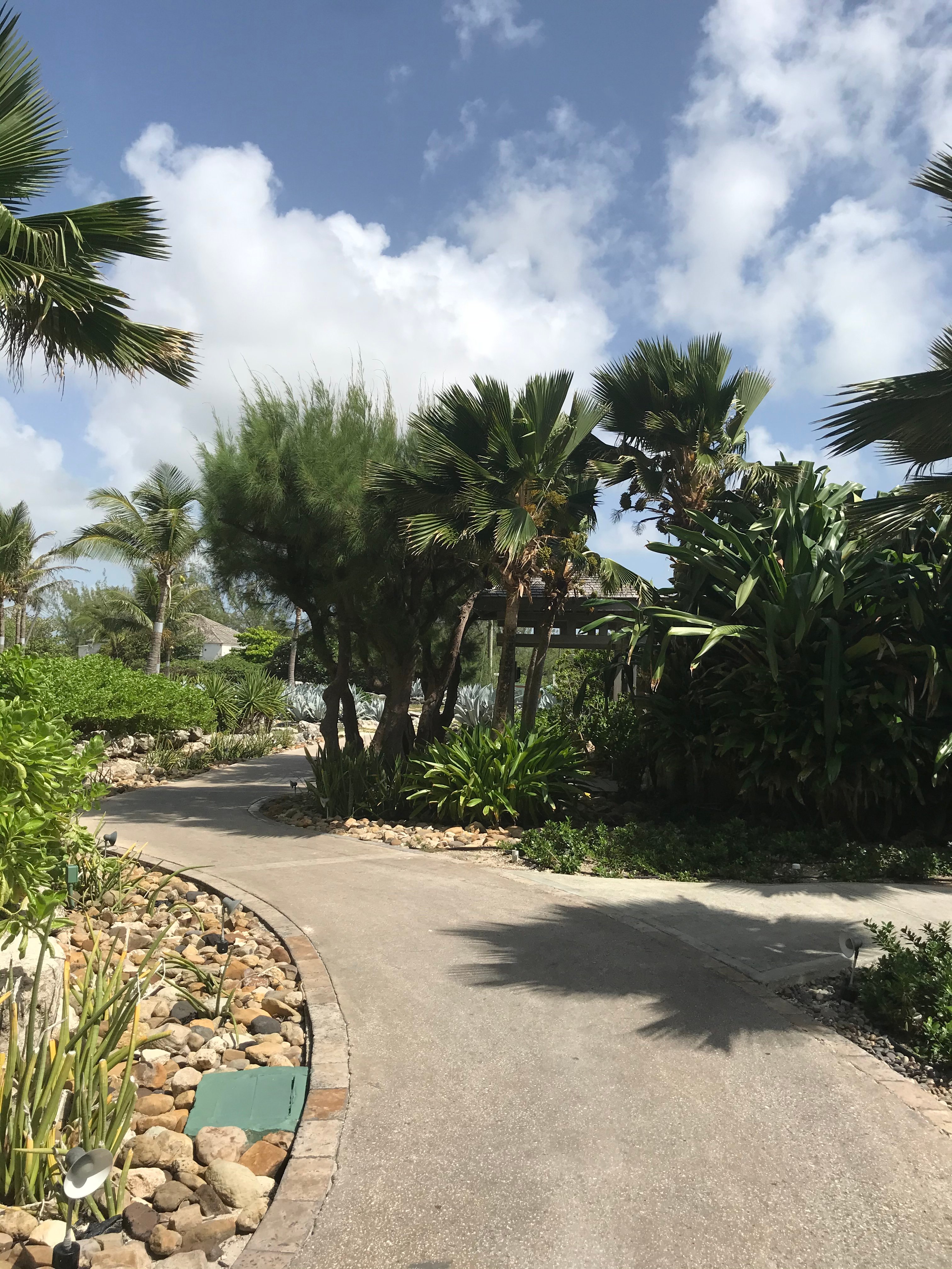 Hilton Grand Vacations Club The Crane Barbados-portrait