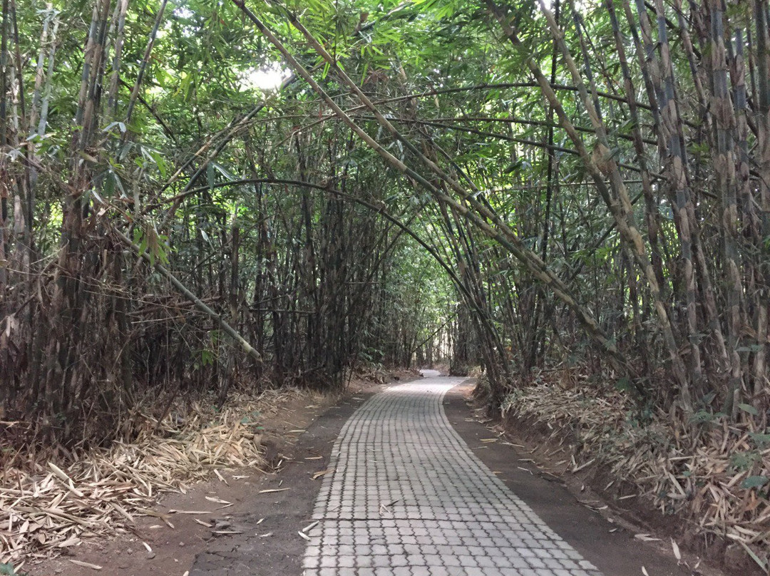 Expedition Bali Tours-金塔马尼必去景点