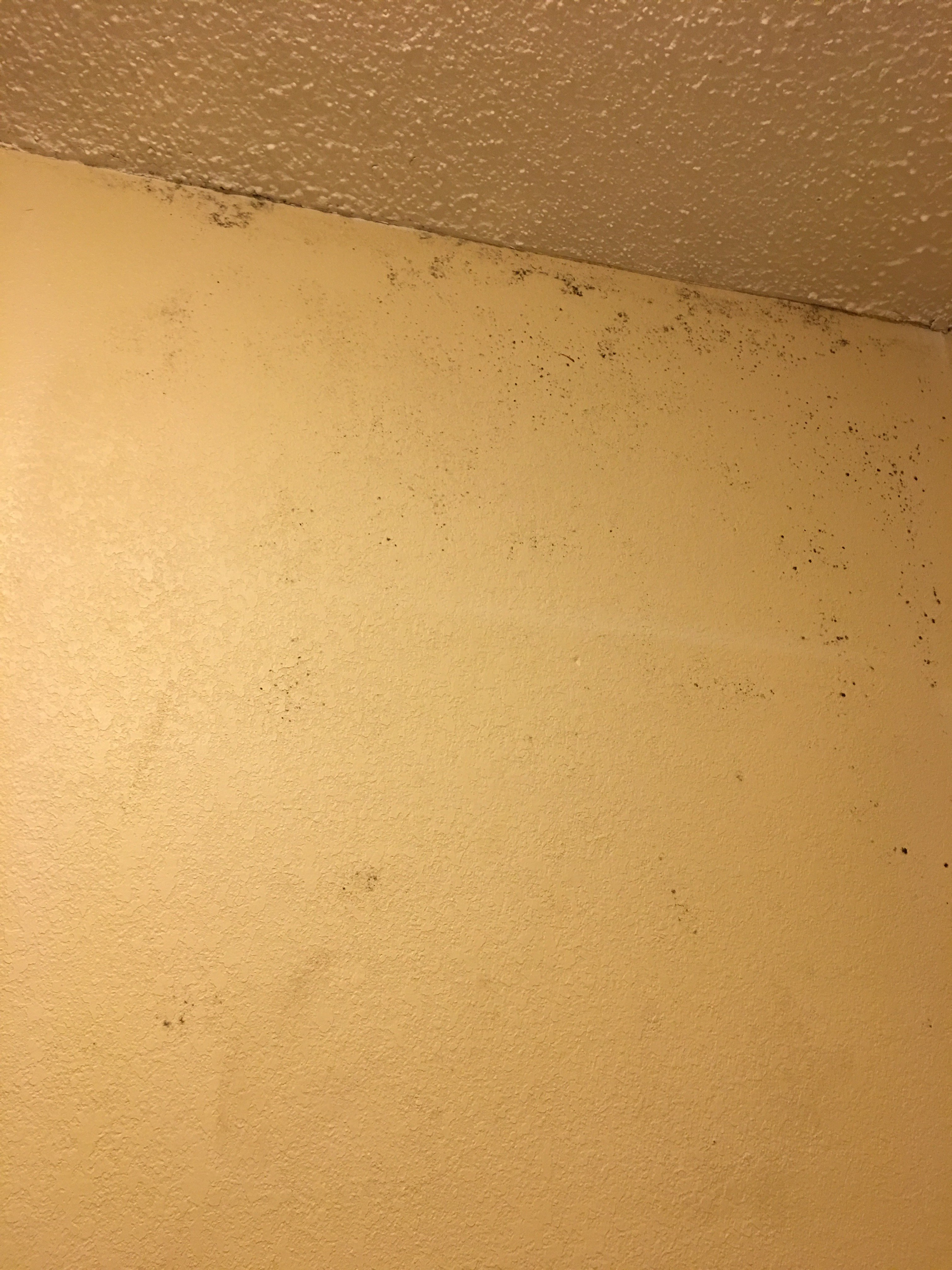 Quality Inn Americus-浴室
