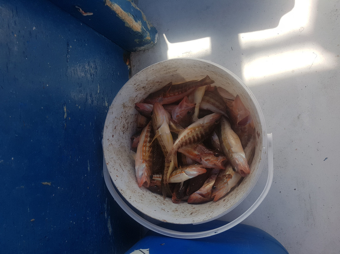 The Angler-帕福斯必去景点