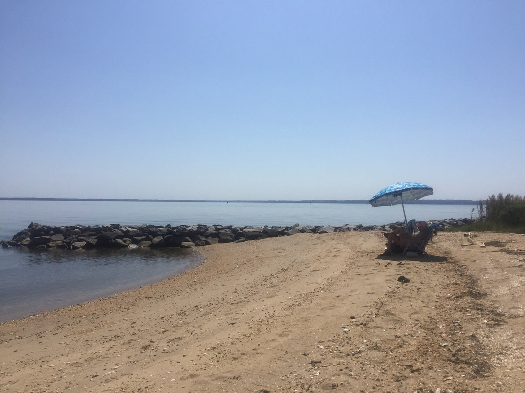 St. Clement's Island State Park景点图片