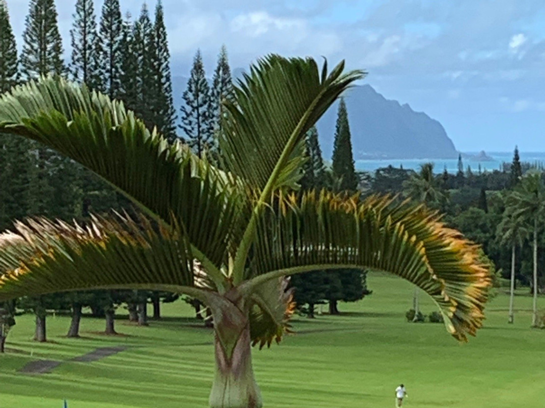巴厘高尔夫俱乐部-卡内奥赫必去景点