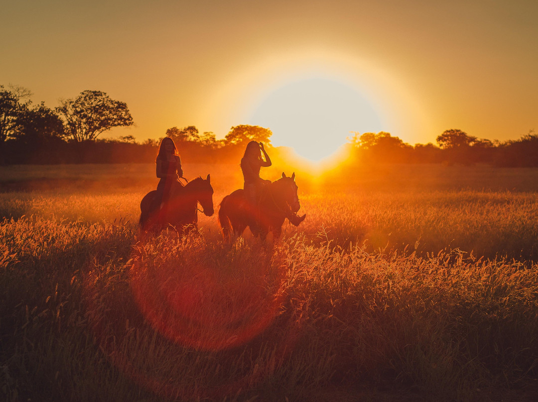 The Stables at Northeast Georgia-Carnesville必去景点