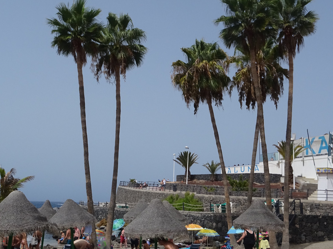 Playa De Puerto Colon-奥德杰海岸必去景点