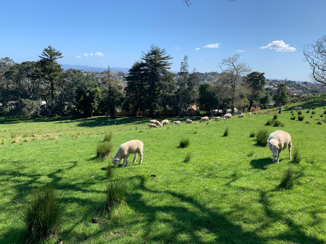 Auckland One Tree Hill Cody Suite主图