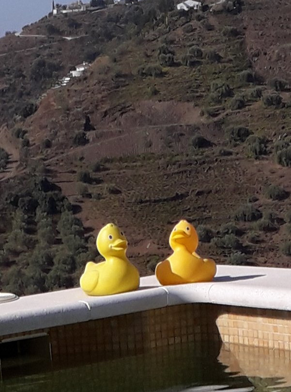 Casa Los Dos bed & breakfast主图