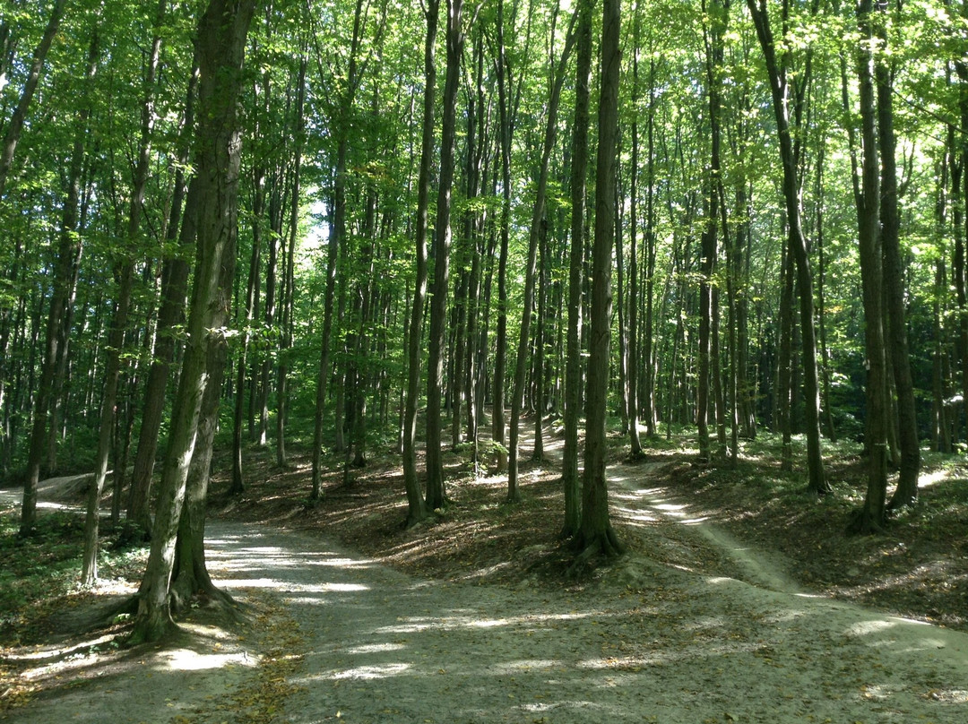 Bratislava Forest Park-布拉迪斯拉发必去景点