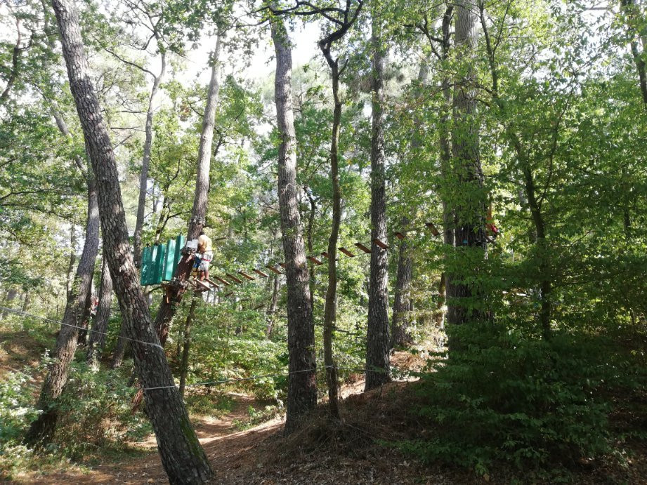 Parc Anjou Aventure景点图片