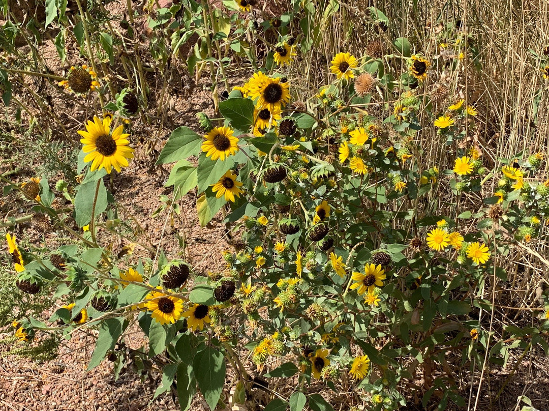 National Center for Atmospheric Research - NCAR-博尔德必去景点