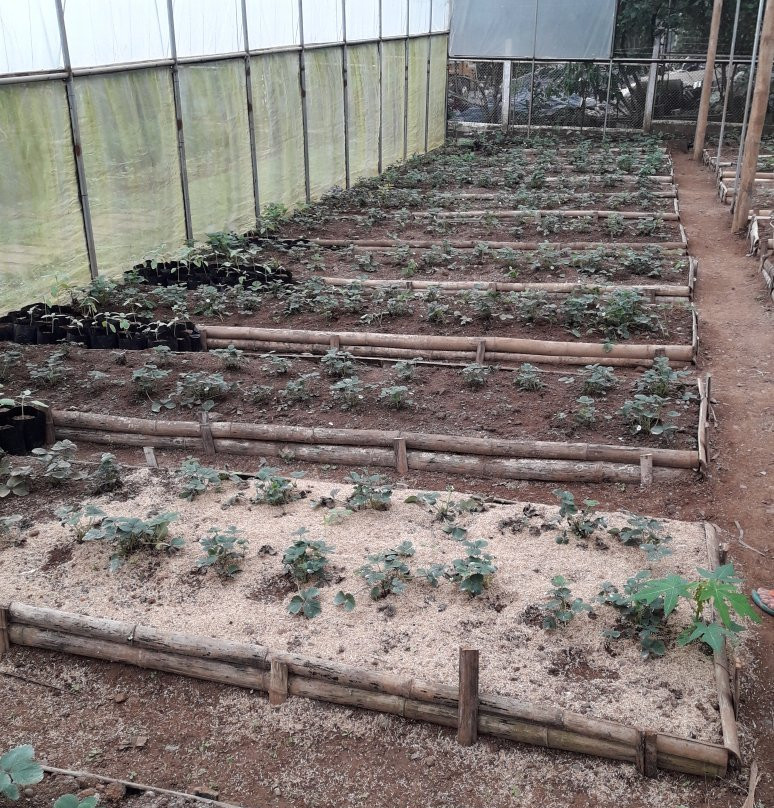 Aningalan Strawberry Farm景点图片