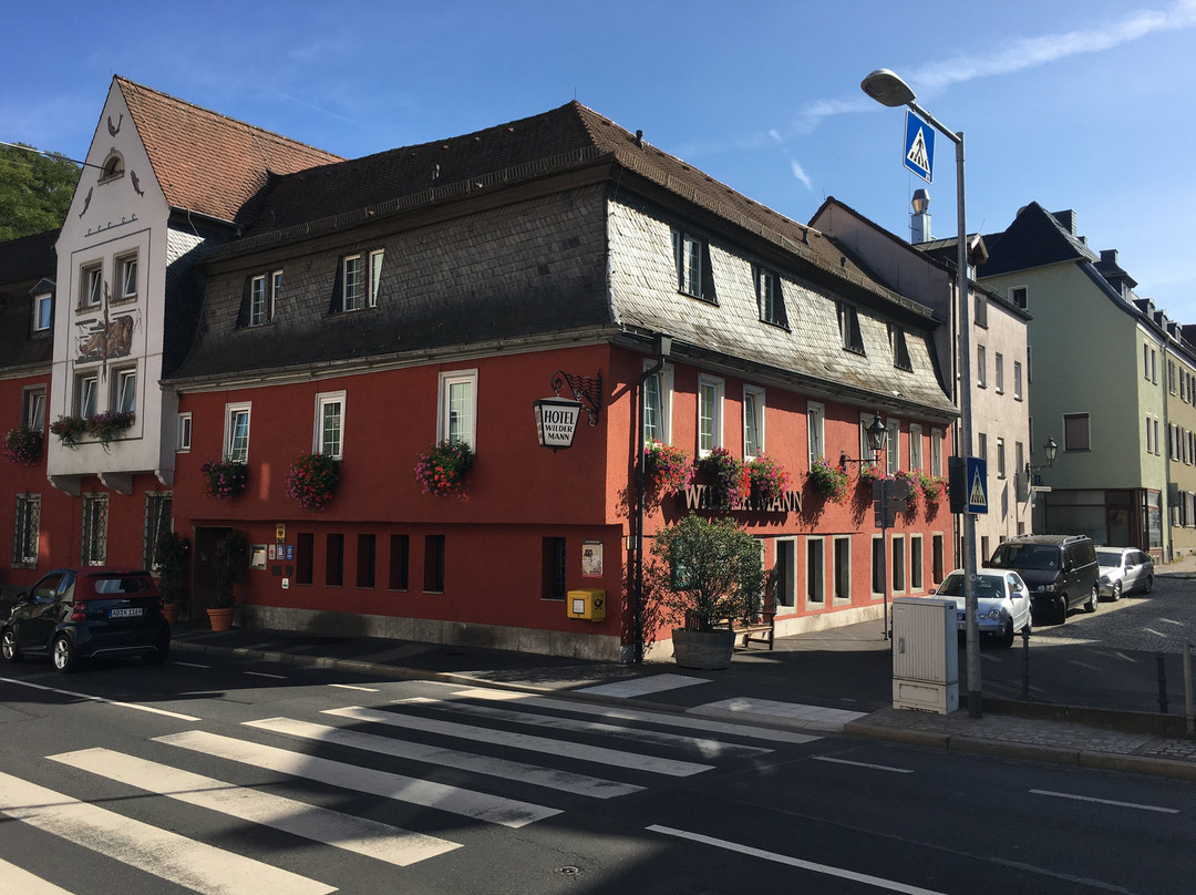 Hotel Wilder Mann主图