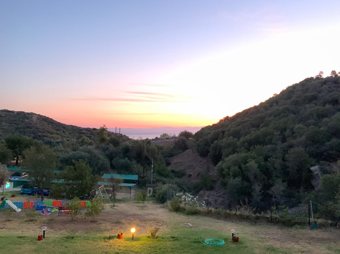 Platania House主图