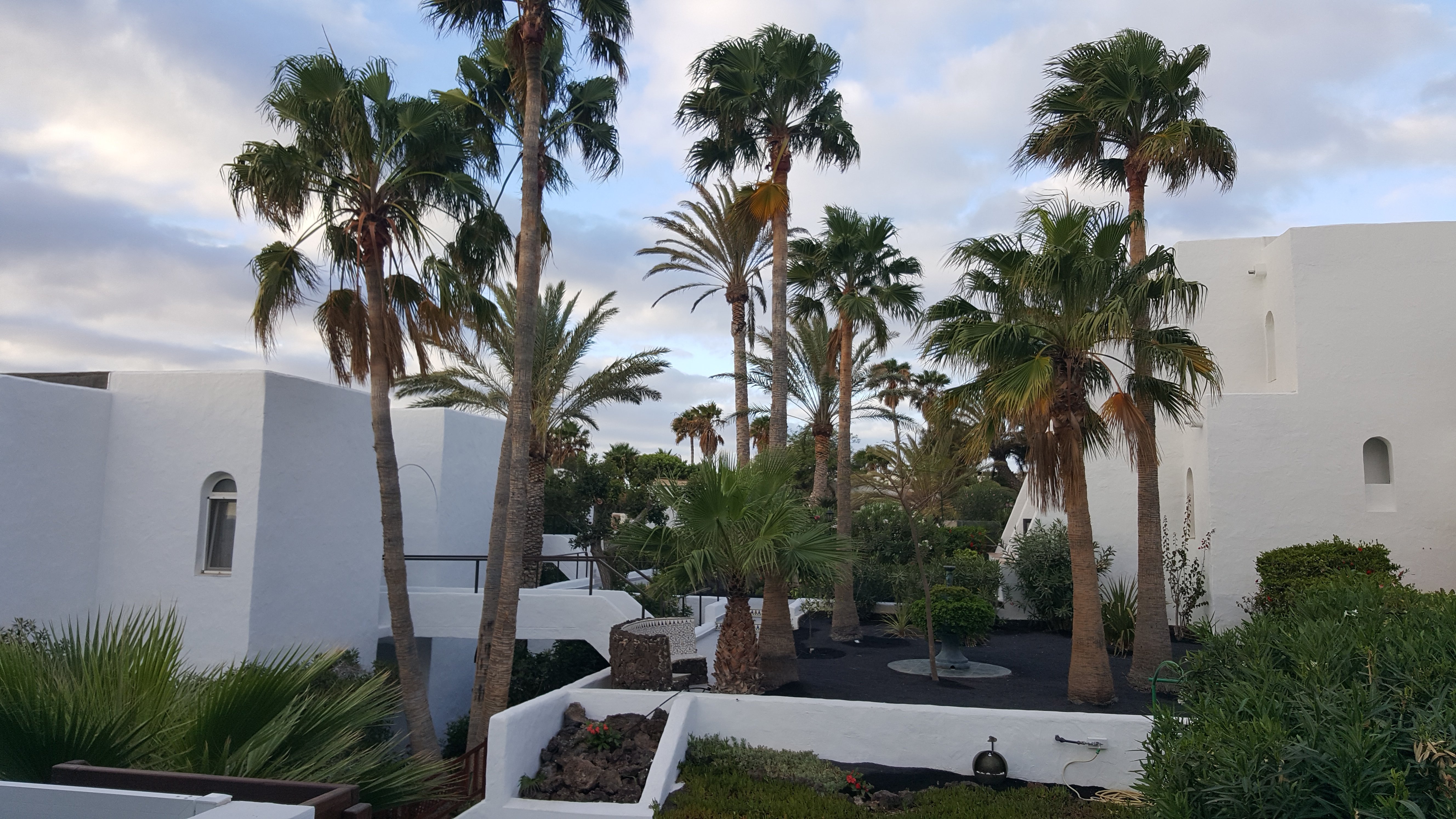 Marina Playa Suites-酒店景观