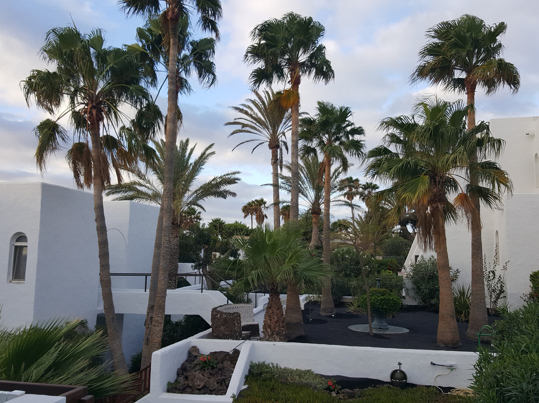 Marina Playa Suites主图