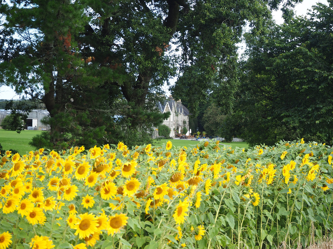 Parc-Le-Breos Guest House主图