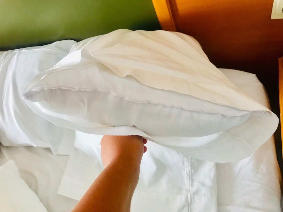 Hotel las Conchas主图