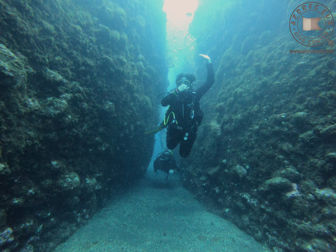 Azores Sub Dive Center-Vila Franca do Campo必去景点
