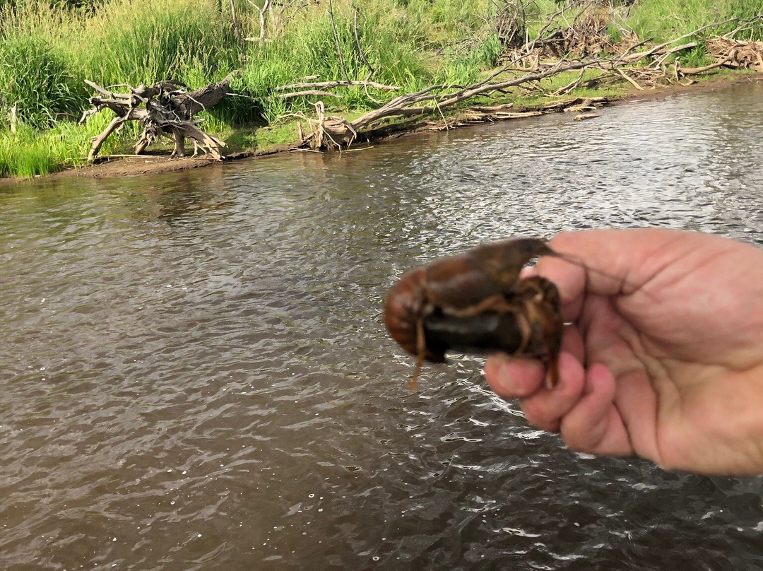 X Diamond & MLY Ranch主图