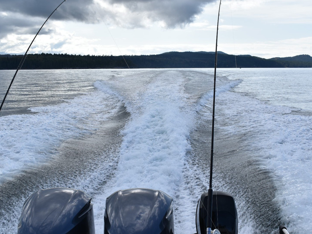 Undercover Sport Fishing Charters-鲍威尔里弗必去景点