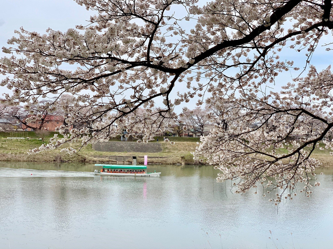 Ogawara Park-大河原町必去景点