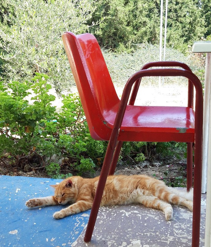 Drolma Ling-Theologos必去景点