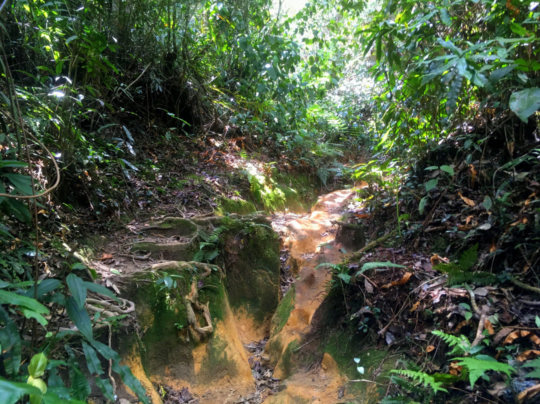 Cameron Highlands Trail No. 5 and 7景点图片