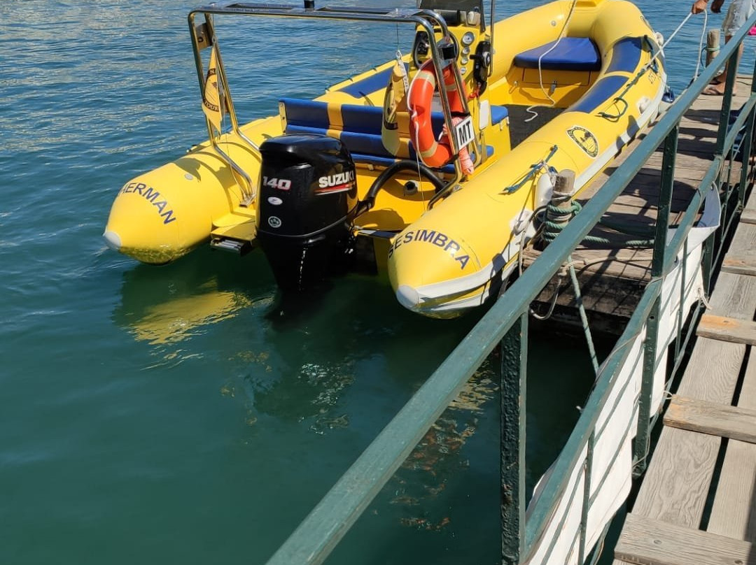 Natural Park Boat Tours-Setubal必去景点