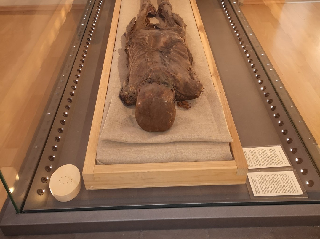 Museo Civico di Storia Naturale景点图片