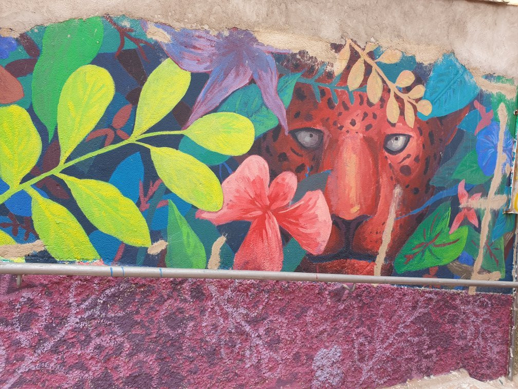 Arte Urbano del Barrio de San Anton景点图片