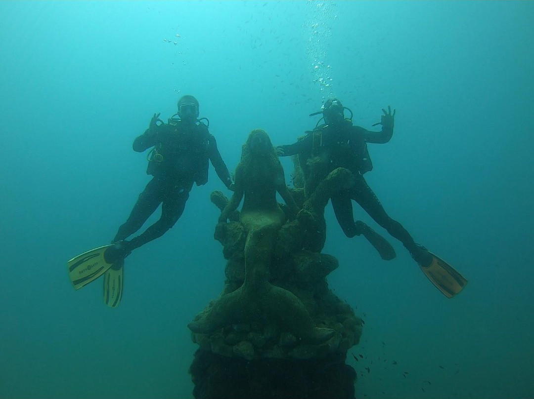M.Rota Diving景点图片