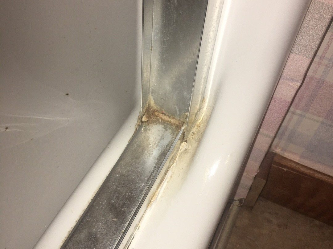 Scandinavian Lodge主图