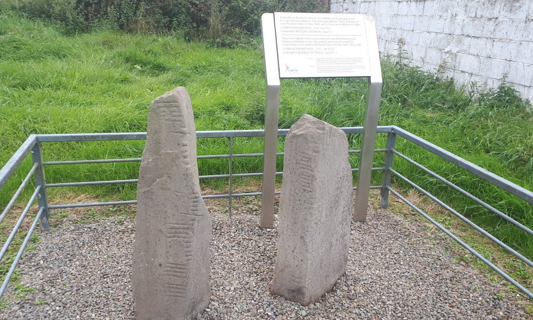 Chute Hall Ogham Stones-特拉利必去景点