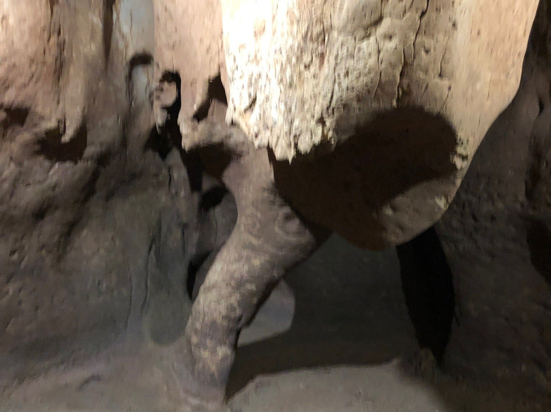 Coves del Toll-Moia必去景点