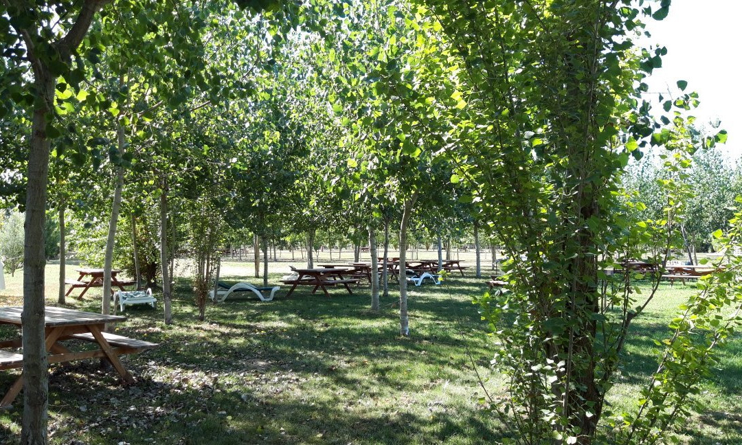 Foof - Parco e museo del cane-Mondragone必去景点