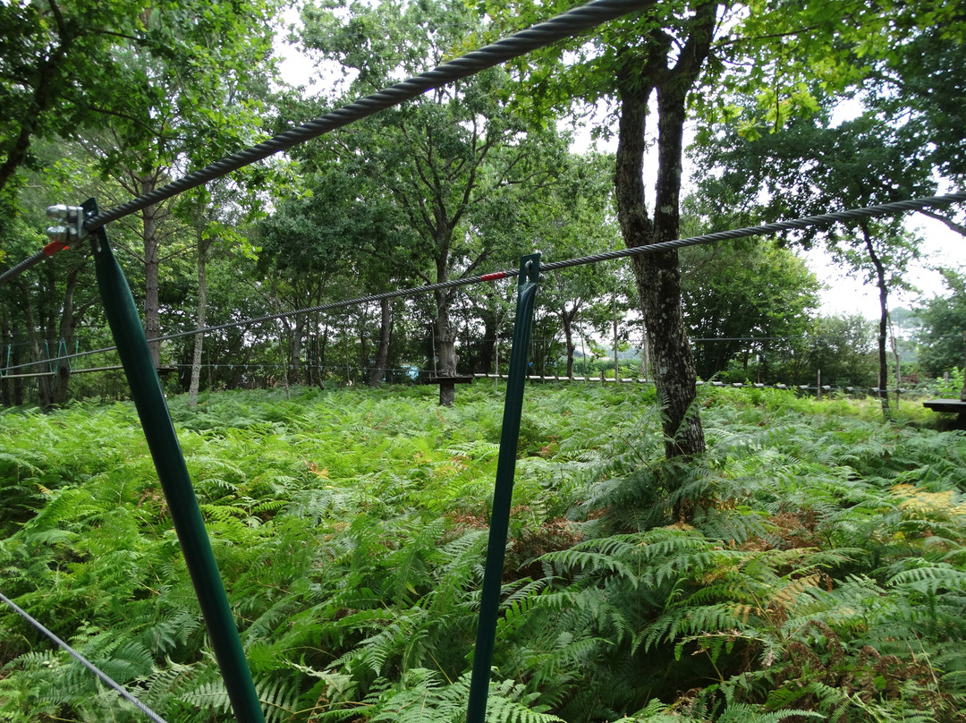 Là-Haut Aventure Park-Leon必去景点