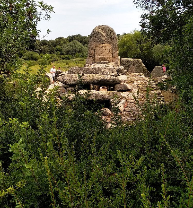 Tomba dei Giganti di Coddu Vecchiu景点图片