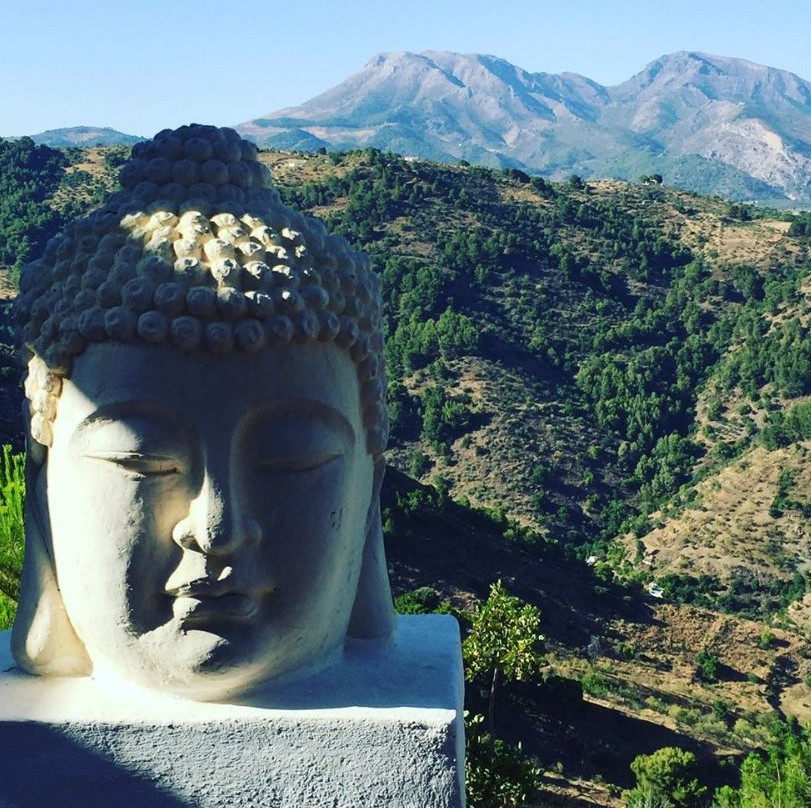 瑟罗德伊哈尔酒店主图