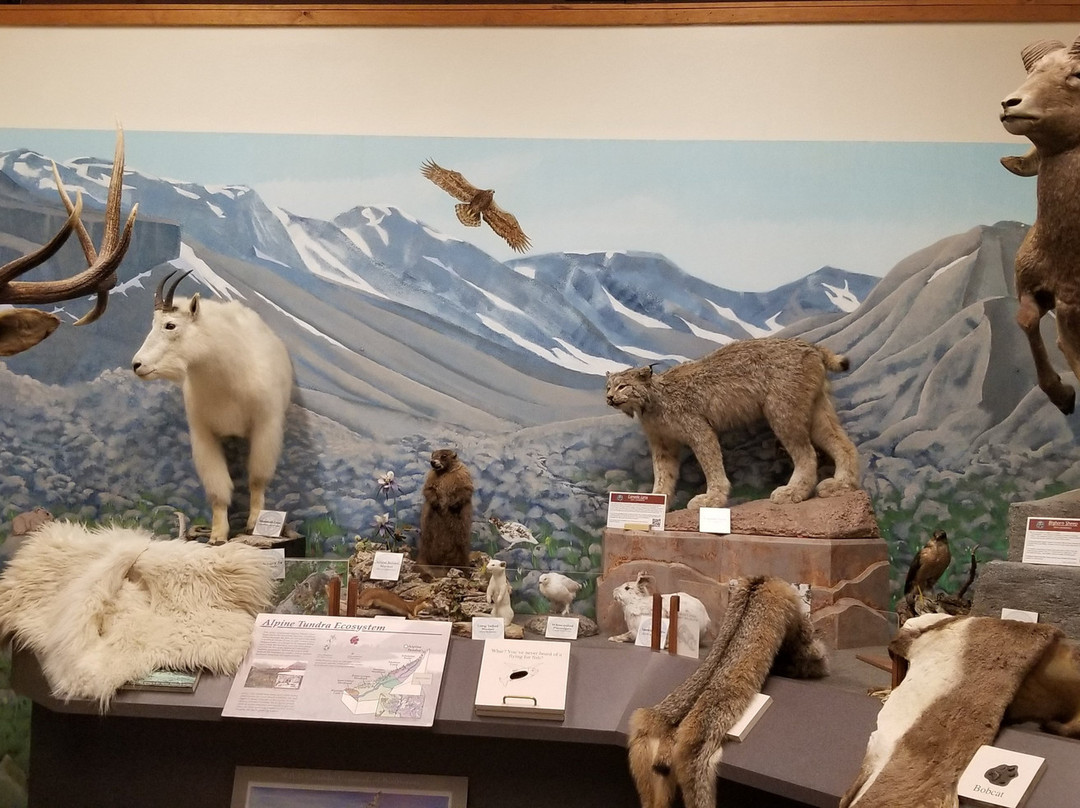 Durango Wildlife Museum and Fish Hatchery景点图片