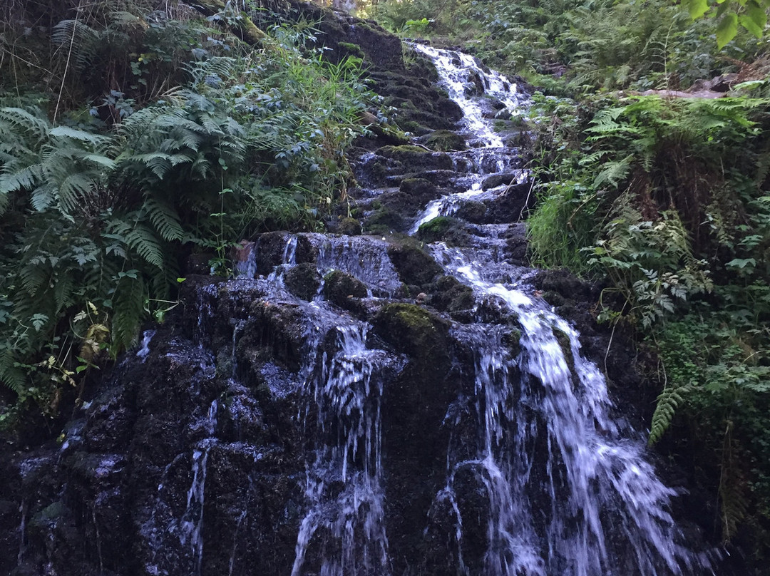 Cascade de Faymont景点图片
