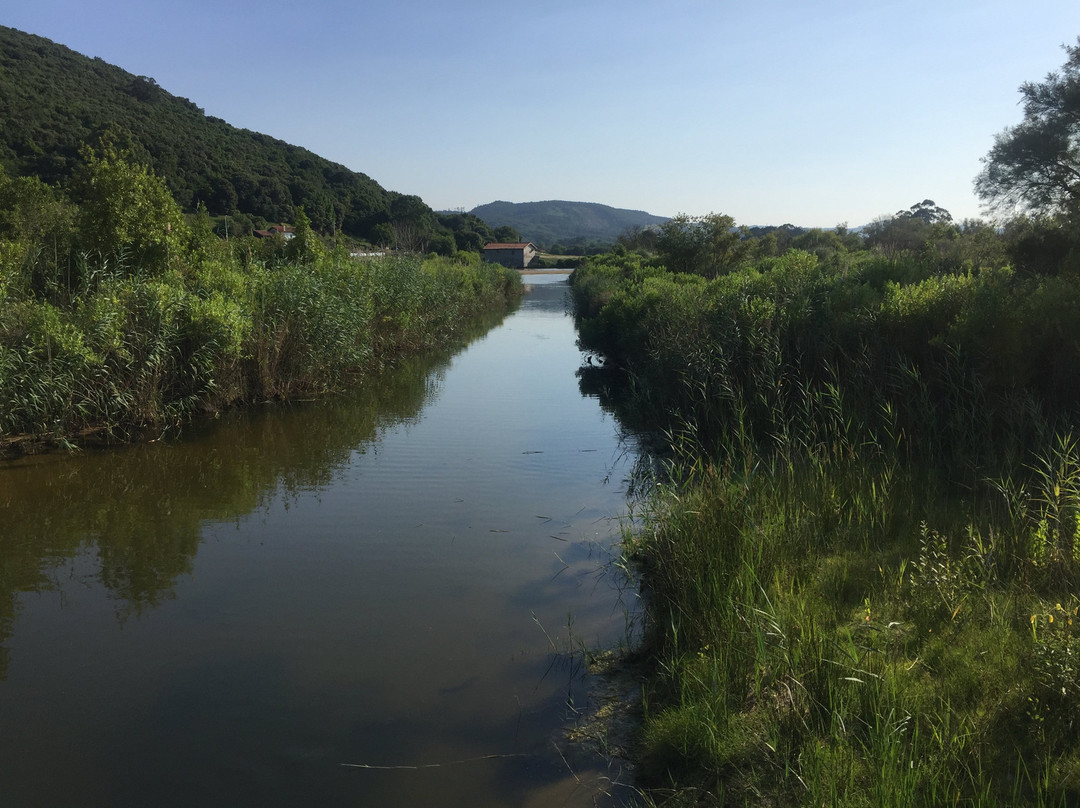 Parque natural de las Marismas de Santona景点图片
