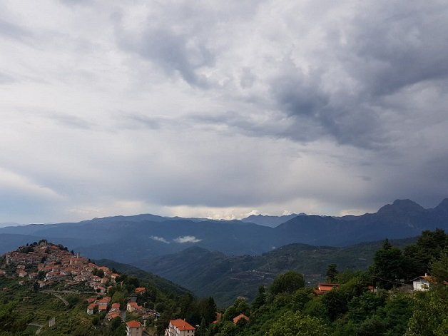 B&B Le Camelie del Bosco-酒店景观