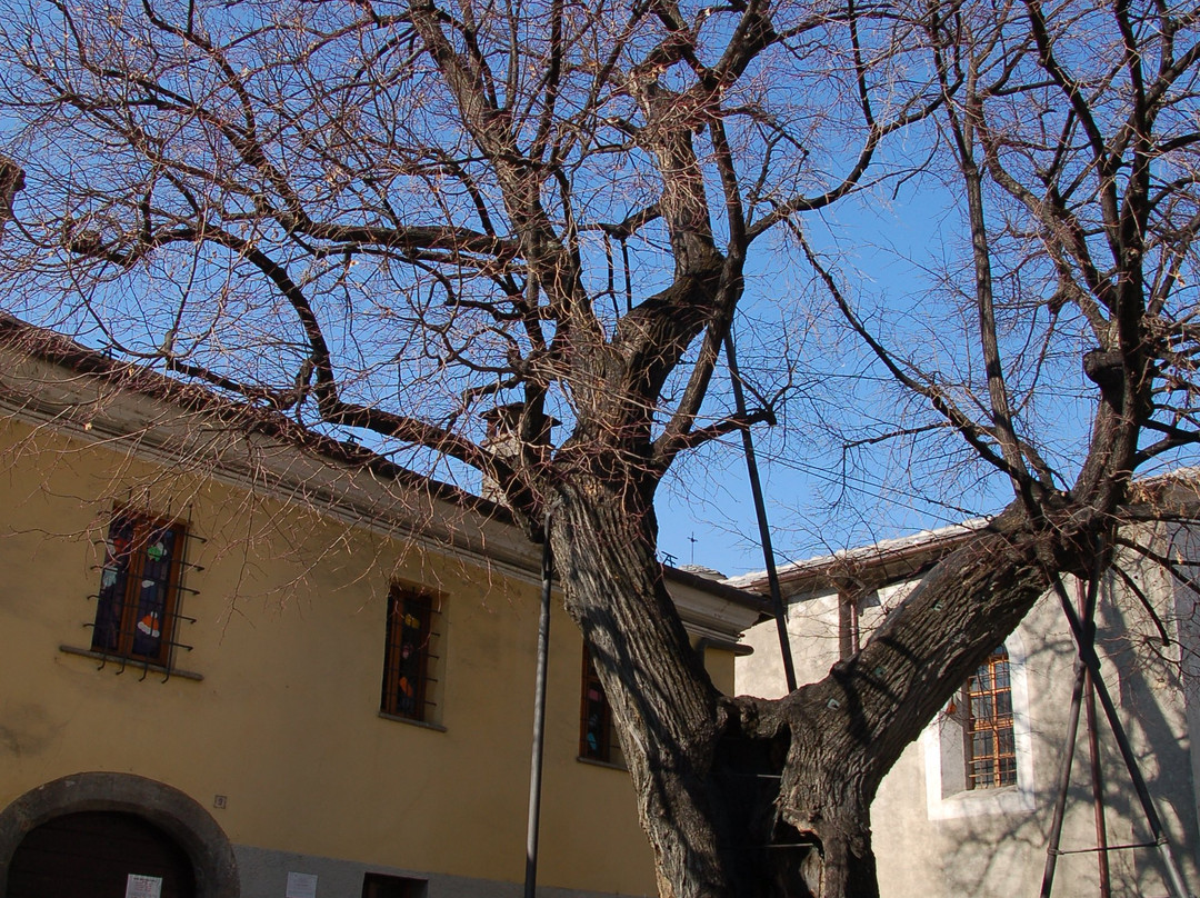 Aosta Old Town-奥斯塔必去景点